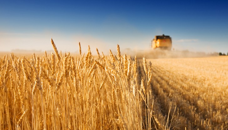 Мярката трябва да доведе до повишаване на цените на руското зърно с поне 50%