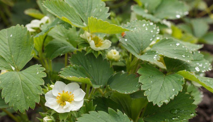 Правила и практични съвети Правила и практични съвети