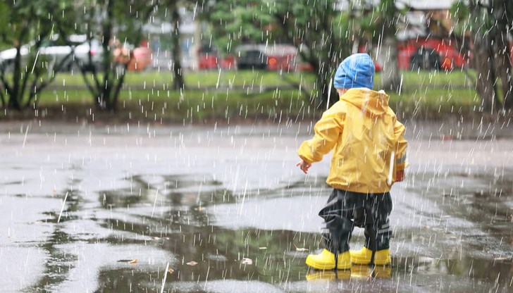 Пролетта е на път, а с нея идват и слънчевите дни, топлината и цъфналите дървета