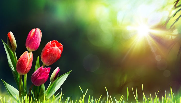 Очакват се летни температури до 30-34 градуса по Целзий