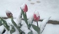 Бурята „Рената” донесе сняг в Румъния