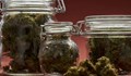 Откриха 70 килограма марихуана в дома на френски кмет