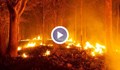 Расте опасността от разпалване на горски пожари у нас