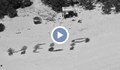Като на филм: Корабокрушенци бяха спасени след като изписаха "HELP" на плажа