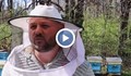 Една четвърт от дребните пчеларски стопанства са изчезнали за година