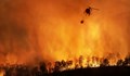 Венецуела се бори с рекорден брой горски пожари