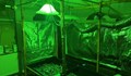 Криминалисти разкриха модерна оранжерия за марихуана