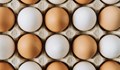 Цената на яйцата няма да расте предпразнично
