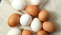 Кафявите яйца ще изчезнат от магазините