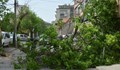 Бурният вятър събори дърво върху къща в Хасково