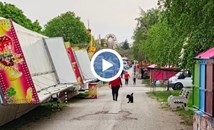 Русенската тарла ще съчетае бирен фест с атракционен парк