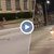 Сърна тича по централен булевард в Русе