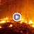 Расте опасността от разпалване на горски пожари у нас