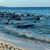 Десетки делфини заседнаха на плаж в Австралия