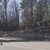 Силният вятър в Русе събори дърво върху тролейбусната мрежа