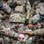 Украйна одобри законопроект за мобилизация на армията