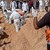 Откриха масов гроб с близо 300 тела в двора на болница "Насър"