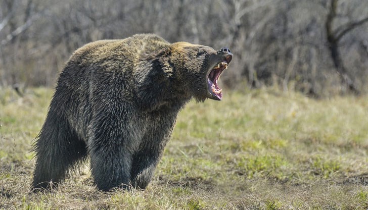 72-годишната жена има наранявания на дясната ръка 72-годишната жена има наранявания на дясната ръка