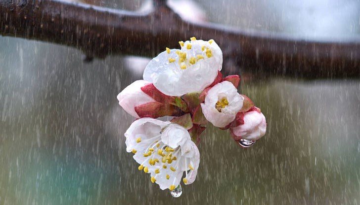 Седмична прогноза за 20 - 25 април