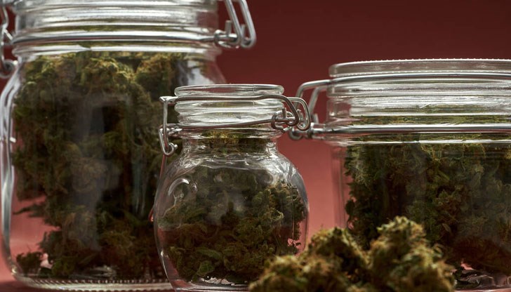 Братът на политика е спипан да продава наркотици Братът на политика е спипан да продава наркотици