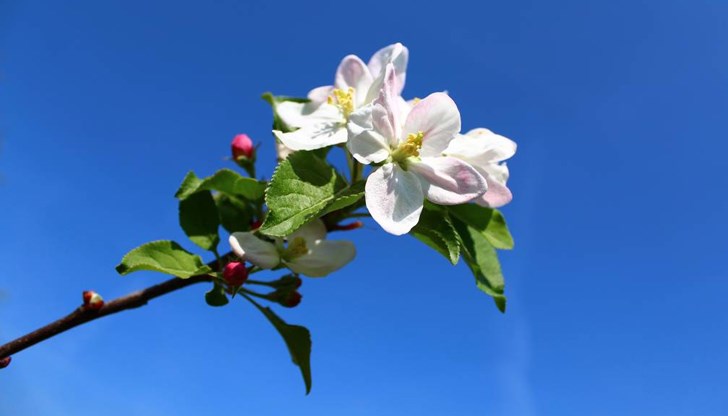 Днес времето ще бъде слънчево и топло. Привечер се заоблачава