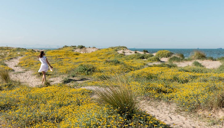 Потвърждават се очакванията за повишение на максималните температури през почивните дни и много слънчеви часове Потвърждават се очакванията за повишение на максималните температури през почивните дни и много слънчеви часове