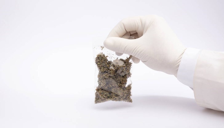 Срещу двамата са започнати бързи производства