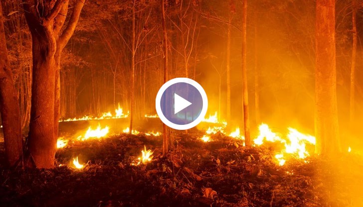 Най-голям е рискът в Централна и Източна България