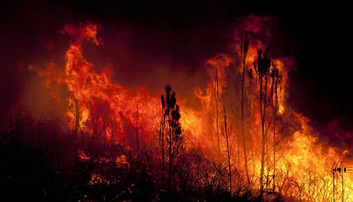 Само в събота бяха регистрирани 72 пожара