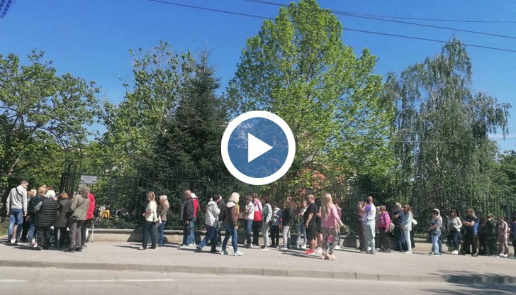 Първите хора отидоха да вземат върбови клонки още в 7:00 часа