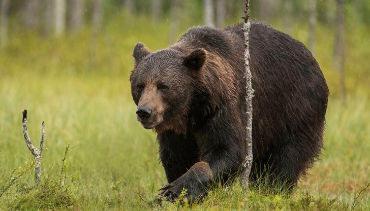 За това предупредиха кметове и еколози