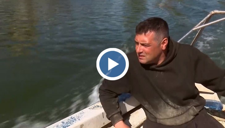 Рибата подрани тая година, заяви рибар