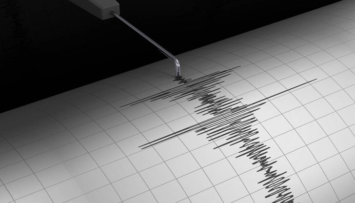 Трусът е бил с магнитуд 4,8 по Рихтер