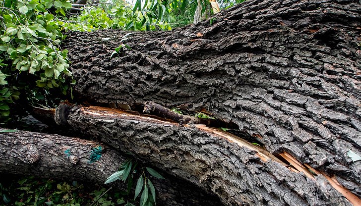 Бури блокираха страната Бури блокираха страната