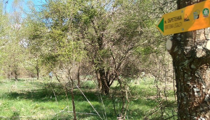 Идеята е на шестима ентусиасти, повечето от които възпитаници на Русенския университет