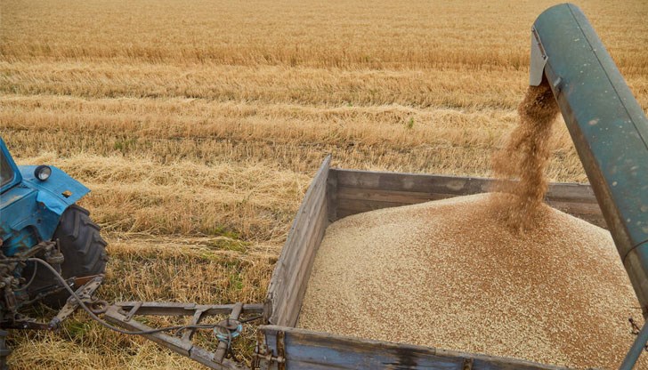 За пшеницата не се прилага ограничение, за което първоначално настояваха страни като Франция и Полша