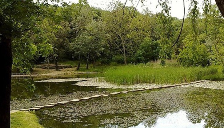 Имотите представляват горски територии в устройствена зона иглолистни гори Имотите представляват горски територии в устройствена зона иглолистни гори