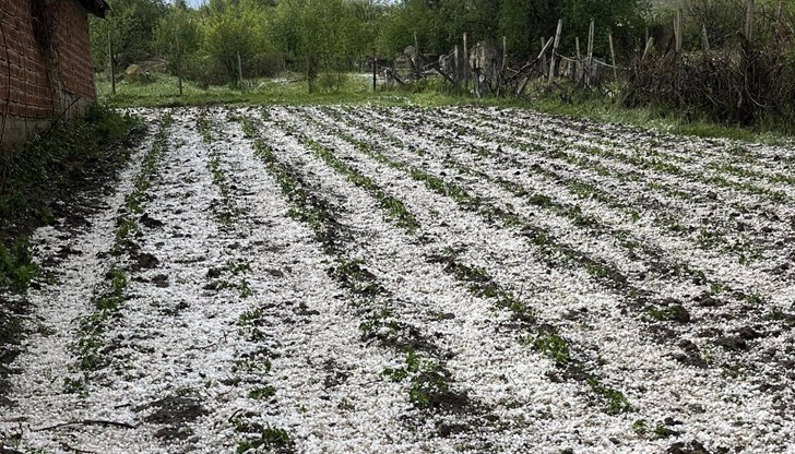 За последните 25 години подобна голяма градоносна клетка е имало само 3 пъти