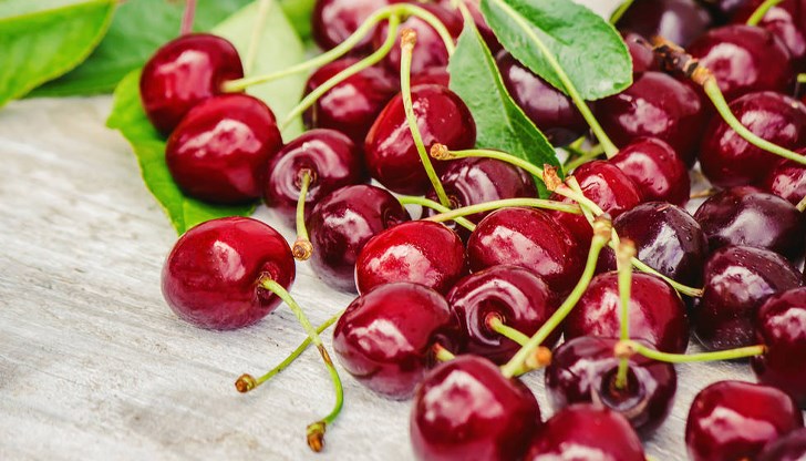 Тази година плодовете са узрели по-рано