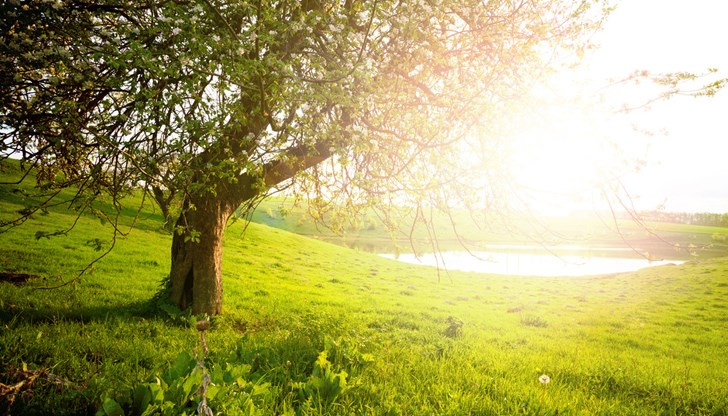 Май нахлува със слънце, дъжд след празниците, жега в края на месеца Май нахлува със слънце, дъжд след празниците, жега в края на месеца