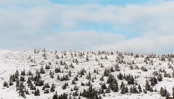 Сняг валя днес във високите части на област Смолян