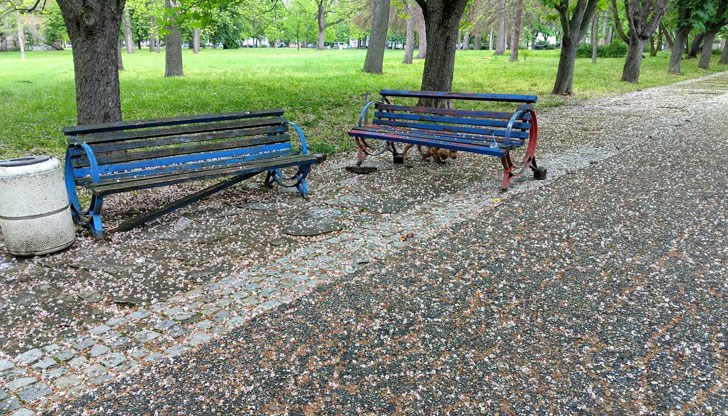 Споровете за мястото на провеждане на панаира традиционно са в разгара си