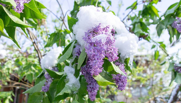 По планините ще превали сняг – обилно и с натрупване във високия планински пояс