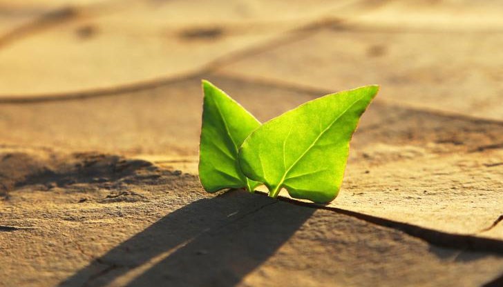 Гл. ас. д-р Владимир Власков разглежда и  темата за влиянието на войните върху климата