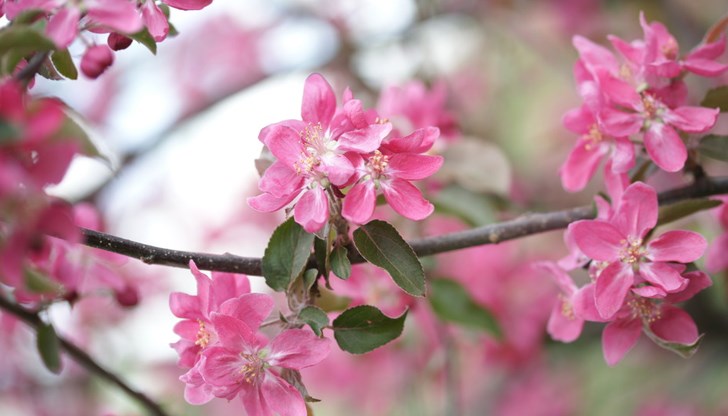 Жълт код е обявен за 18 области в страната Жълт код е обявен за 18 области в страната
