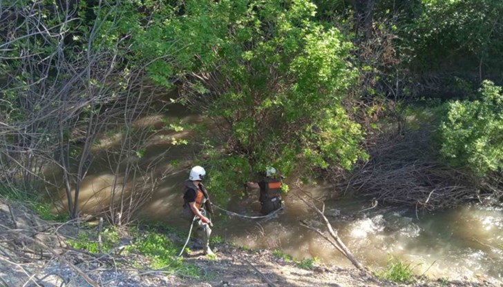 Премахва се саморасла растителност, нарушаваща проводимостта на водите
