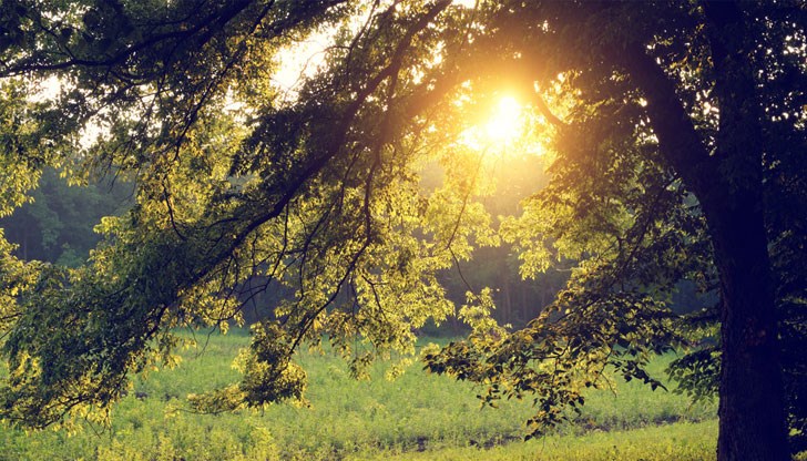Максималните температури ще бъдат между 19° и 24°
