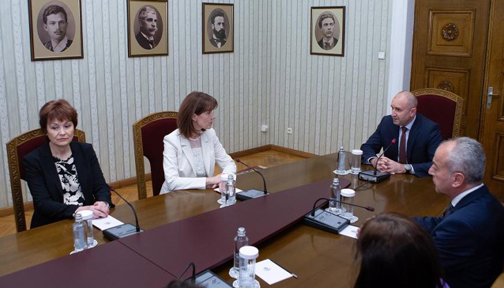 Държавният глава проведе среща с ръководството на ЦИК във връзка с предстоящите предсрочни парламентарни и европейски избори Държавният глава проведе среща с ръководството на ЦИК във връзка с предстоящите предсрочни парламентарни и европейски избори