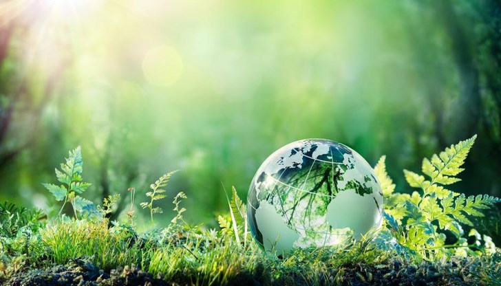 СНЦ „Дунавско сияние“ инициира екоинициатива в Русе