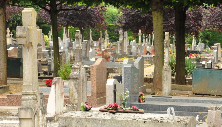 Има и обвинения за корупция в общинското предприятие "Гробищни паркове"